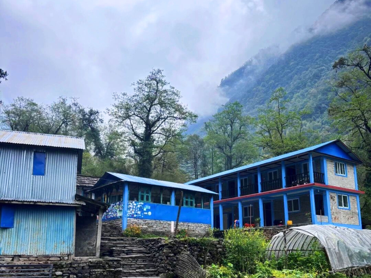 tea houses